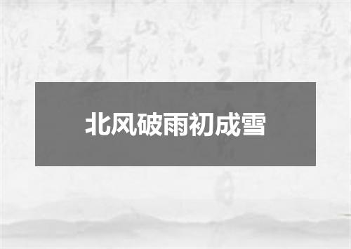 北风破雨初成雪