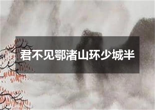 君不见鄂渚山环少城半