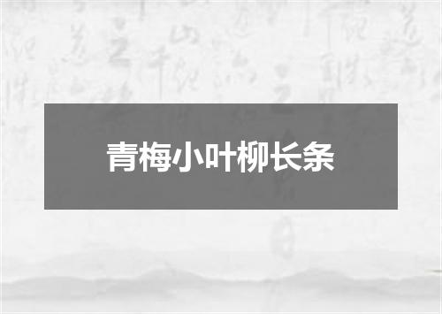 青梅小叶柳长条