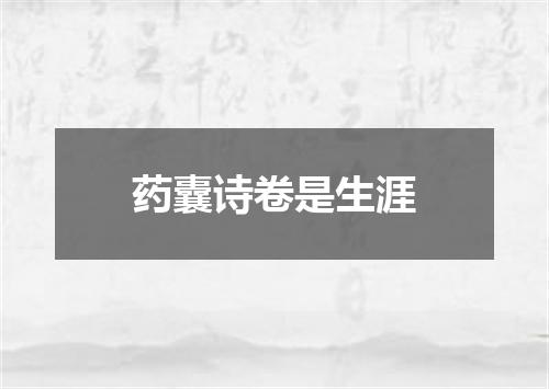 药囊诗卷是生涯
