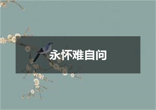 永怀难自问