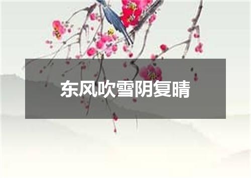 东风吹雪阴复晴