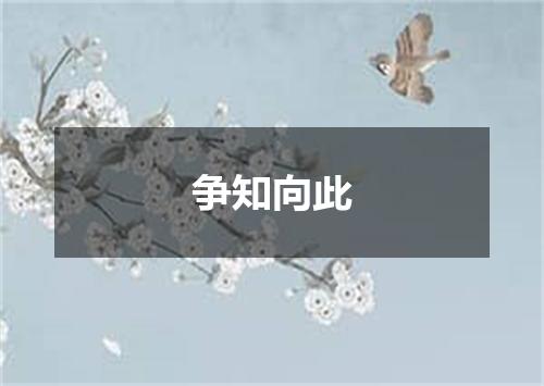 争知向此