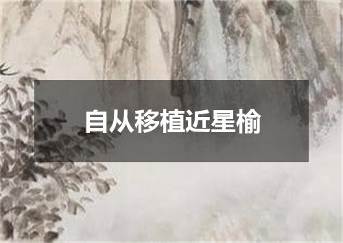 自从移植近星榆