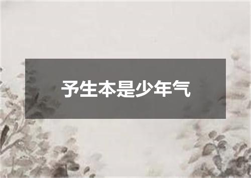 予生本是少年气