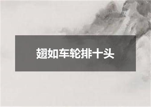 翅如车轮排十头