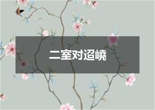二室对迢嶢
