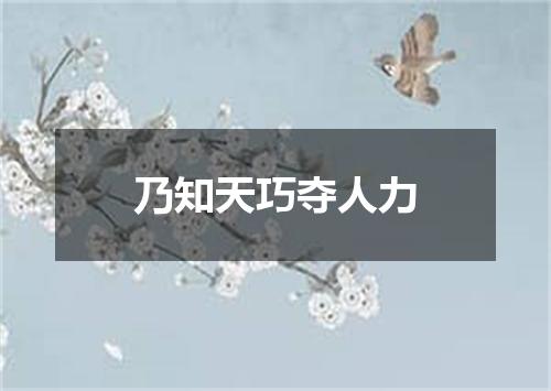 乃知天巧夺人力