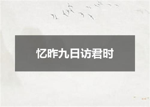 忆昨九日访君时