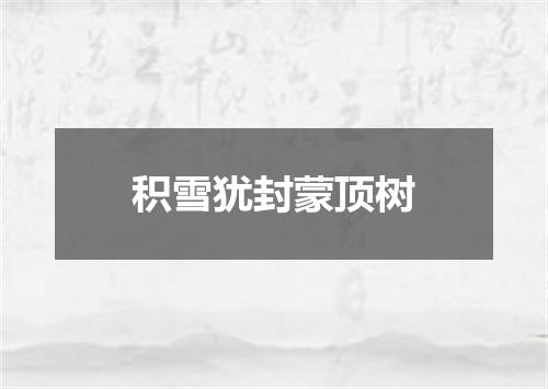 积雪犹封蒙顶树