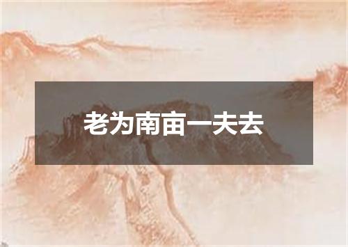 老为南亩一夫去
