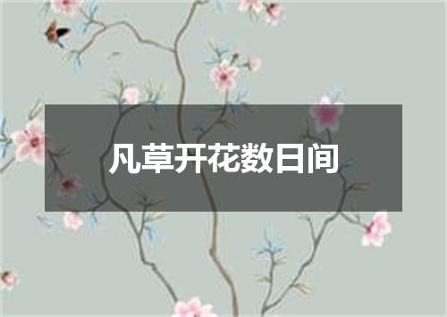 凡草开花数日间