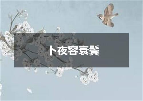 卜夜容衰鬓