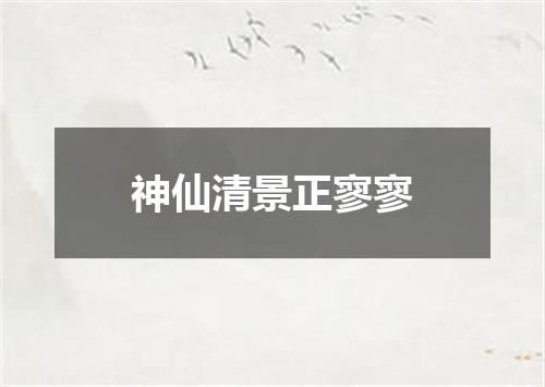 神仙清景正寥寥