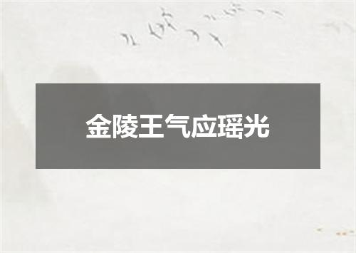 金陵王气应瑶光