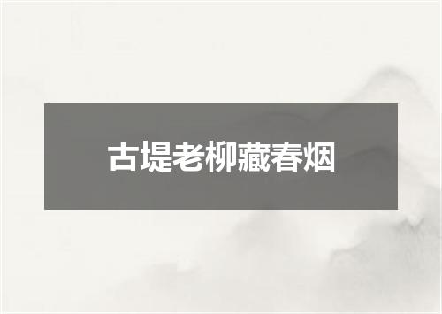 古堤老柳藏春烟