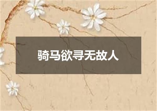 骑马欲寻无故人