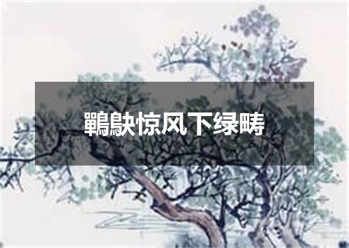 鷤鴃惊风下绿畴