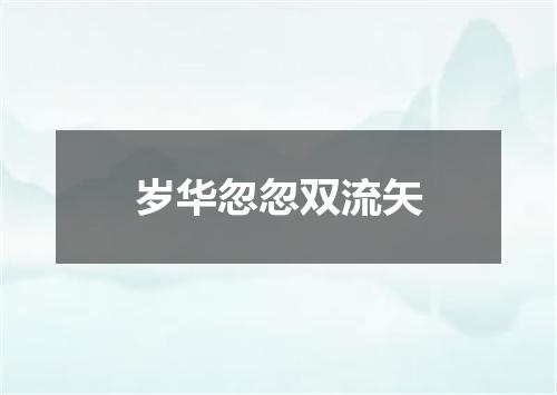 岁华忽忽双流矢
