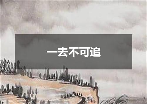 一去不可追