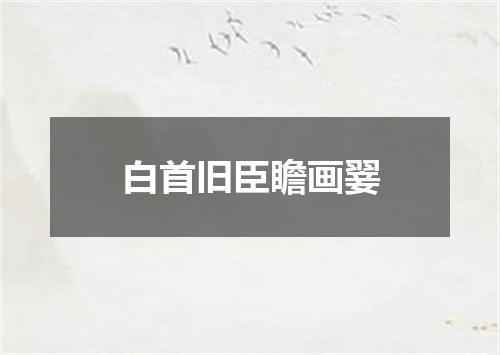 白首旧臣瞻画翣