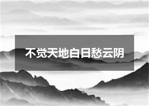 不觉天地白日愁云阴