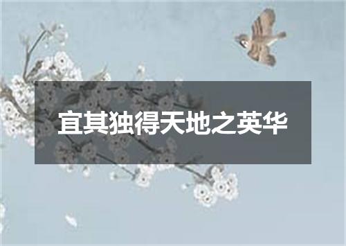 宜其独得天地之英华
