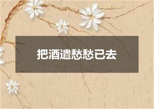 把酒遣愁愁已去
