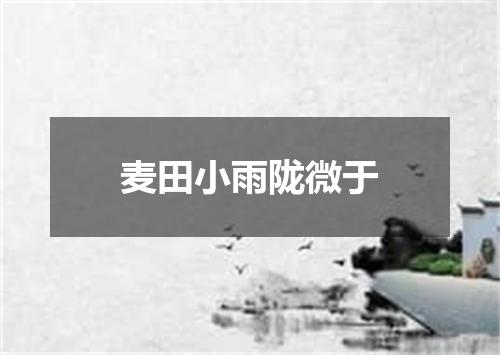 麦田小雨陇微于