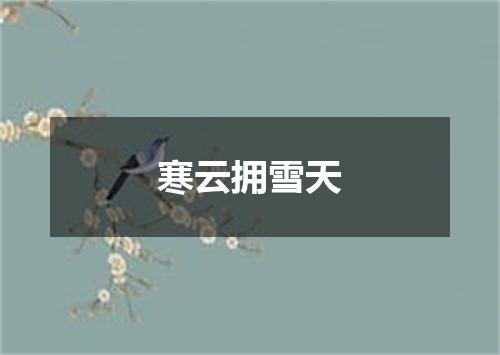 寒云拥雪天