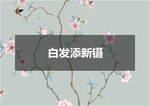 白发添新镊
