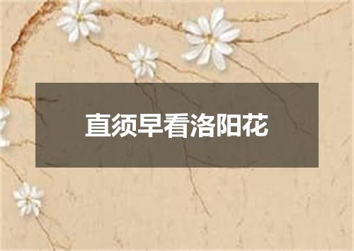 直须早看洛阳花