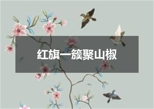 红旗一簇聚山椒