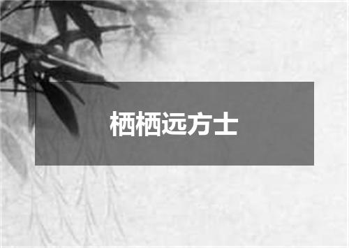 栖栖远方士