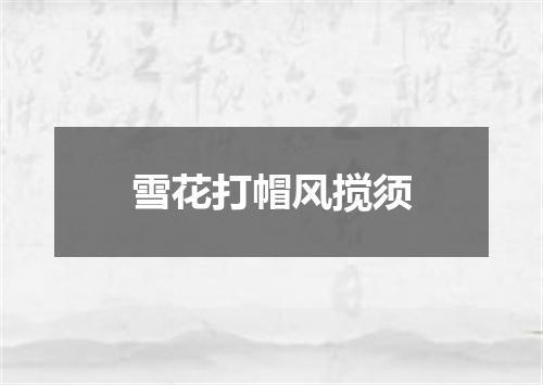 雪花打帽风搅须