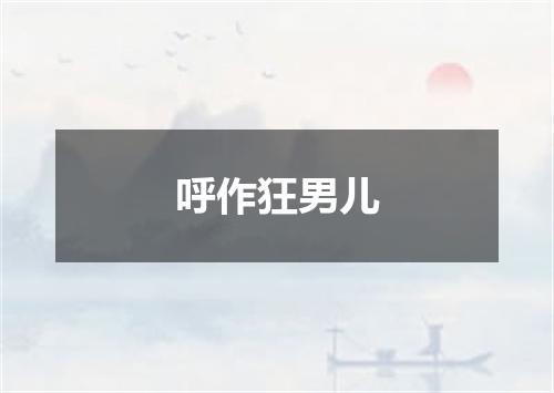 呼作狂男儿