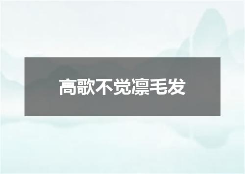 高歌不觉凛毛发