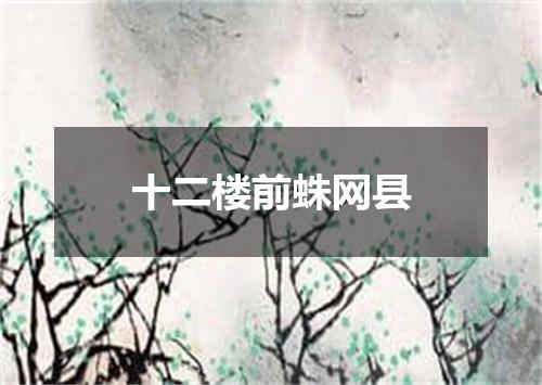 十二楼前蛛网县