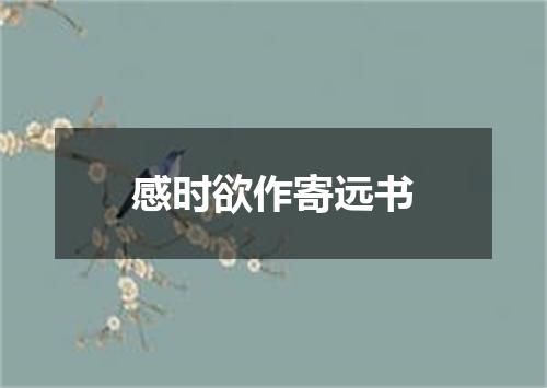 感时欲作寄远书