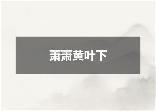 萧萧黄叶下