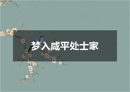 梦入咸平处士家