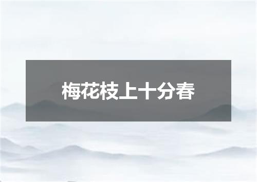 梅花枝上十分春