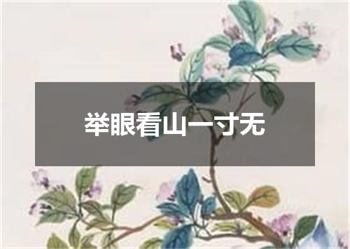 举眼看山一寸无