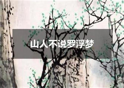 山人不说罗浮梦