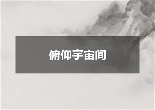 俯仰宇宙间