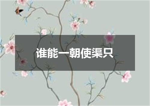 谁能一朝使渠只