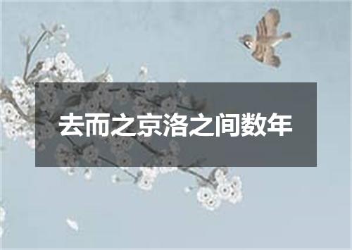 去而之京洛之间数年