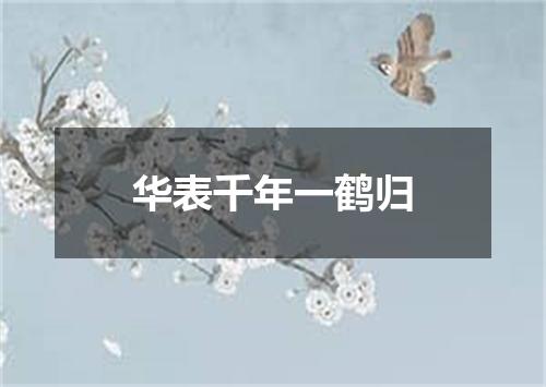 华表千年一鹤归
