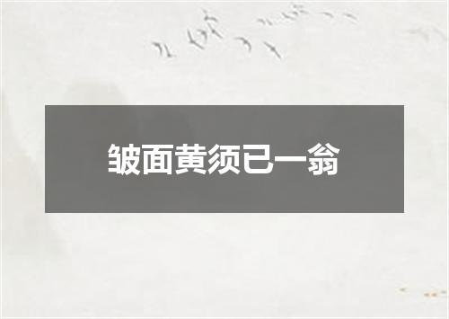 皱面黄须已一翁