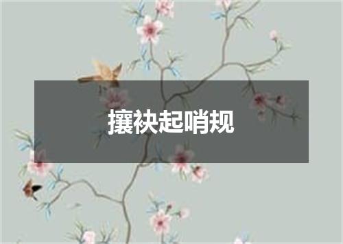 攘袂起哨规